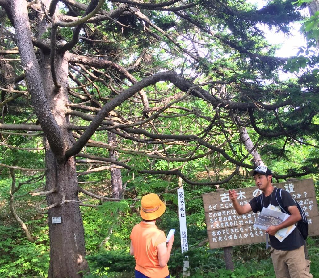 Yagishiri Guest House Yasundeke 羽幌町 エクステリア 写真